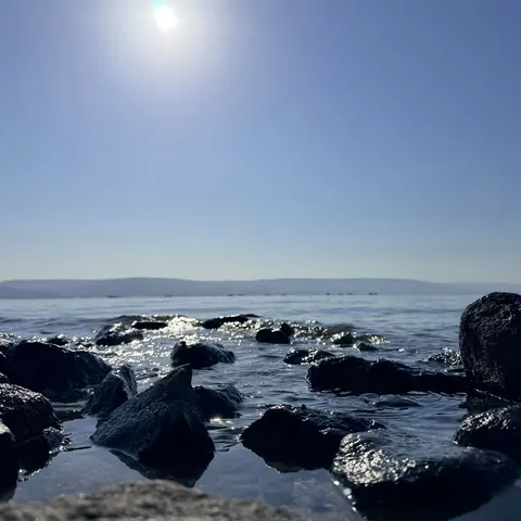 Bazaltowe kamienie na brzegu Jeziora Galilejskiego